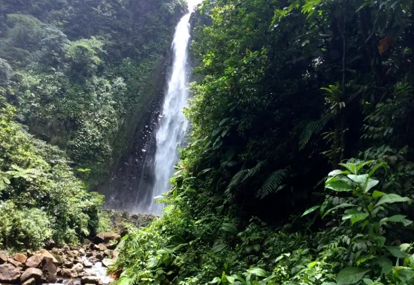 Expo OSE & GWADA – Chute du carbet